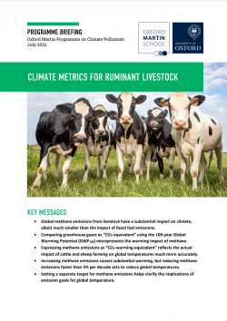 Climate Metrics Brief Cover July2022
